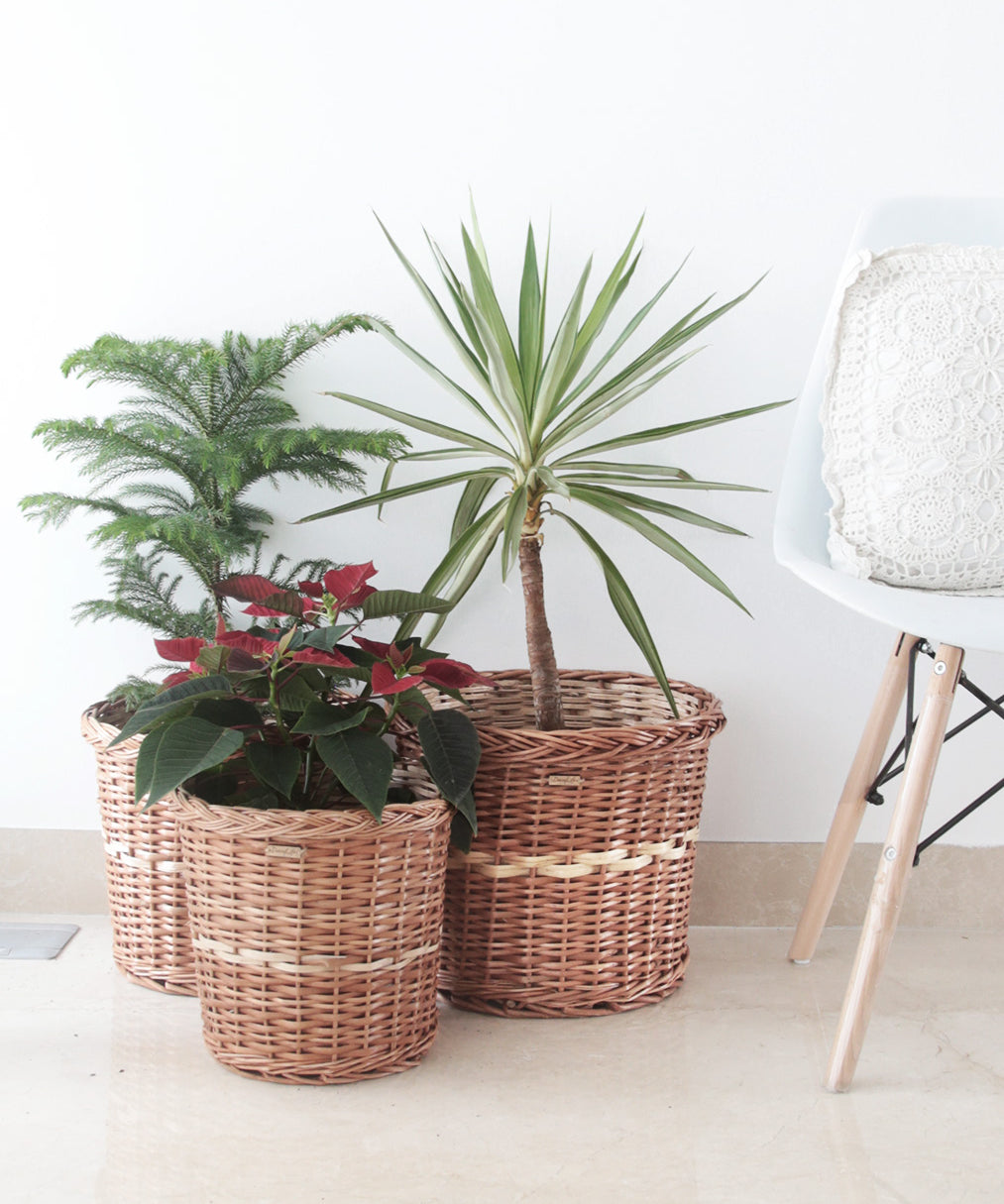 DaisyLife Natural Willow Wicker planter basket, Flower Basket, Gift Basket, Storage and home decor basket