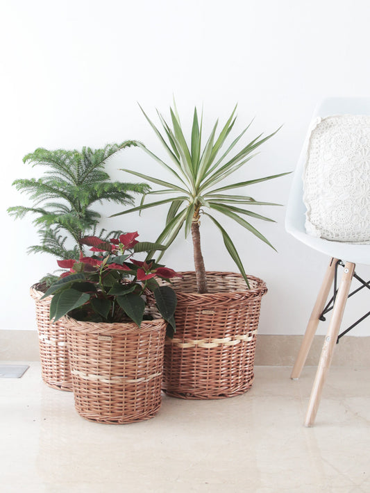 DaisyLife Natural Willow Wicker planter basket, Flower Basket, Gift Basket, Storage and home decor basket