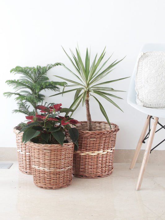 Wicker Planter Baskets