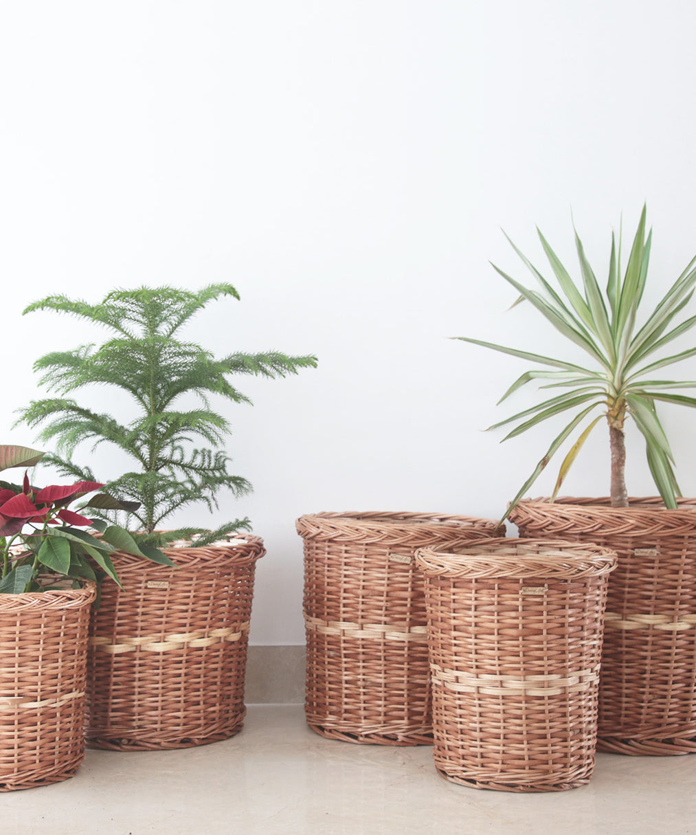 DaisyLife Natural Willow Wicker planter basket, Flower Basket, Gift Basket, Storage and home decor basket