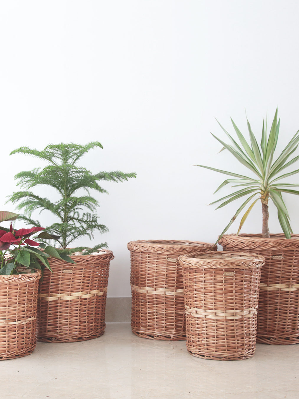DaisyLife Natural Willow Wicker planter basket, Flower Basket, Gift Basket, Storage and home decor basket