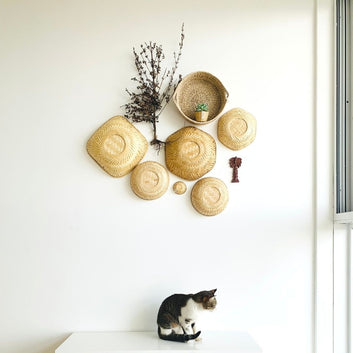 Desert Life Gallery Wall Decor