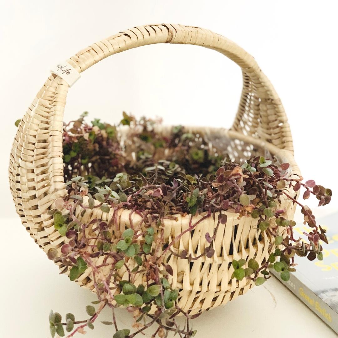 Half Moon Basket Use for plants fruits, bread, flowers, as planters or for gift hampers.