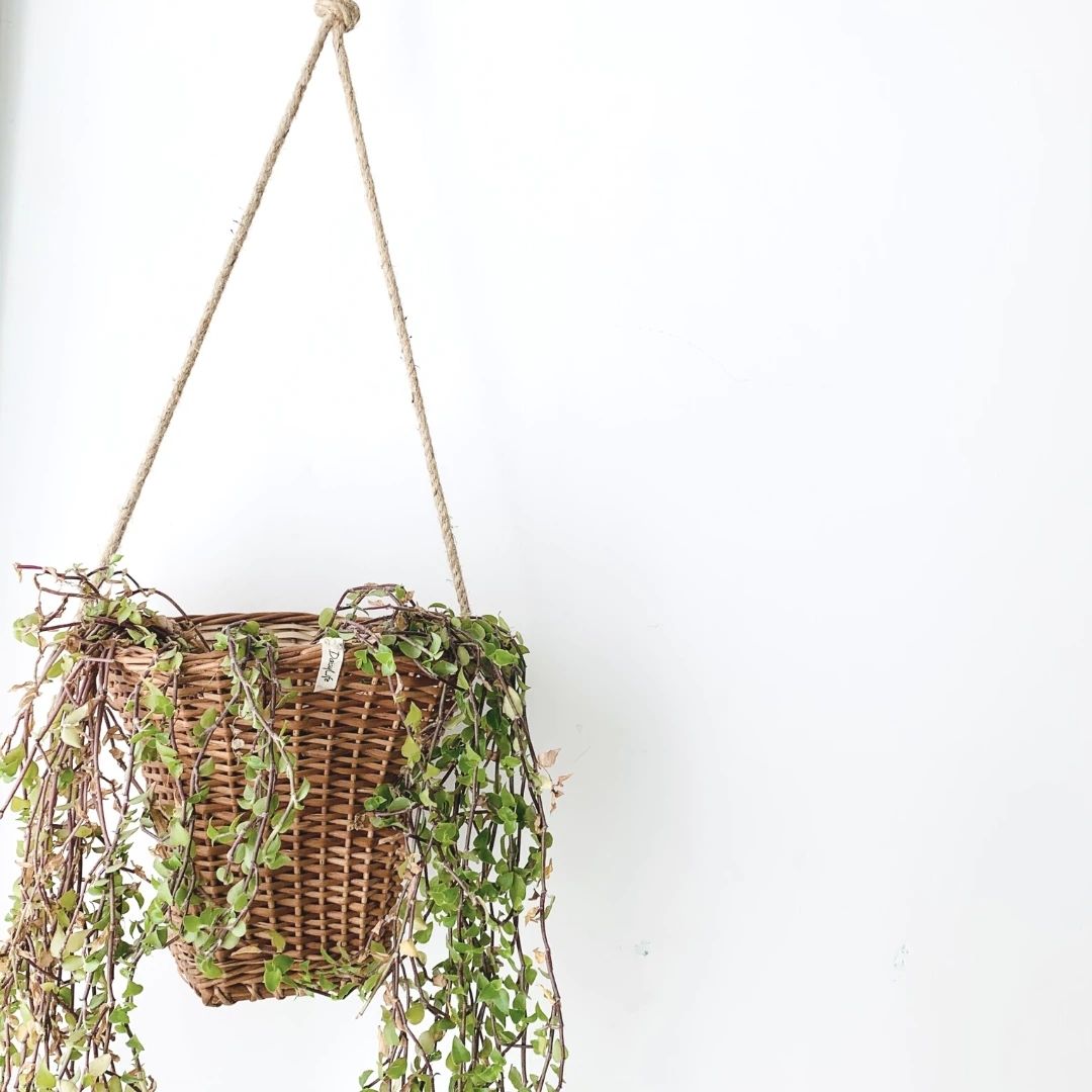 Wicker hanging planter.