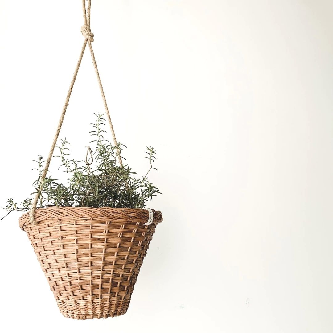 Wicker hanging planter.