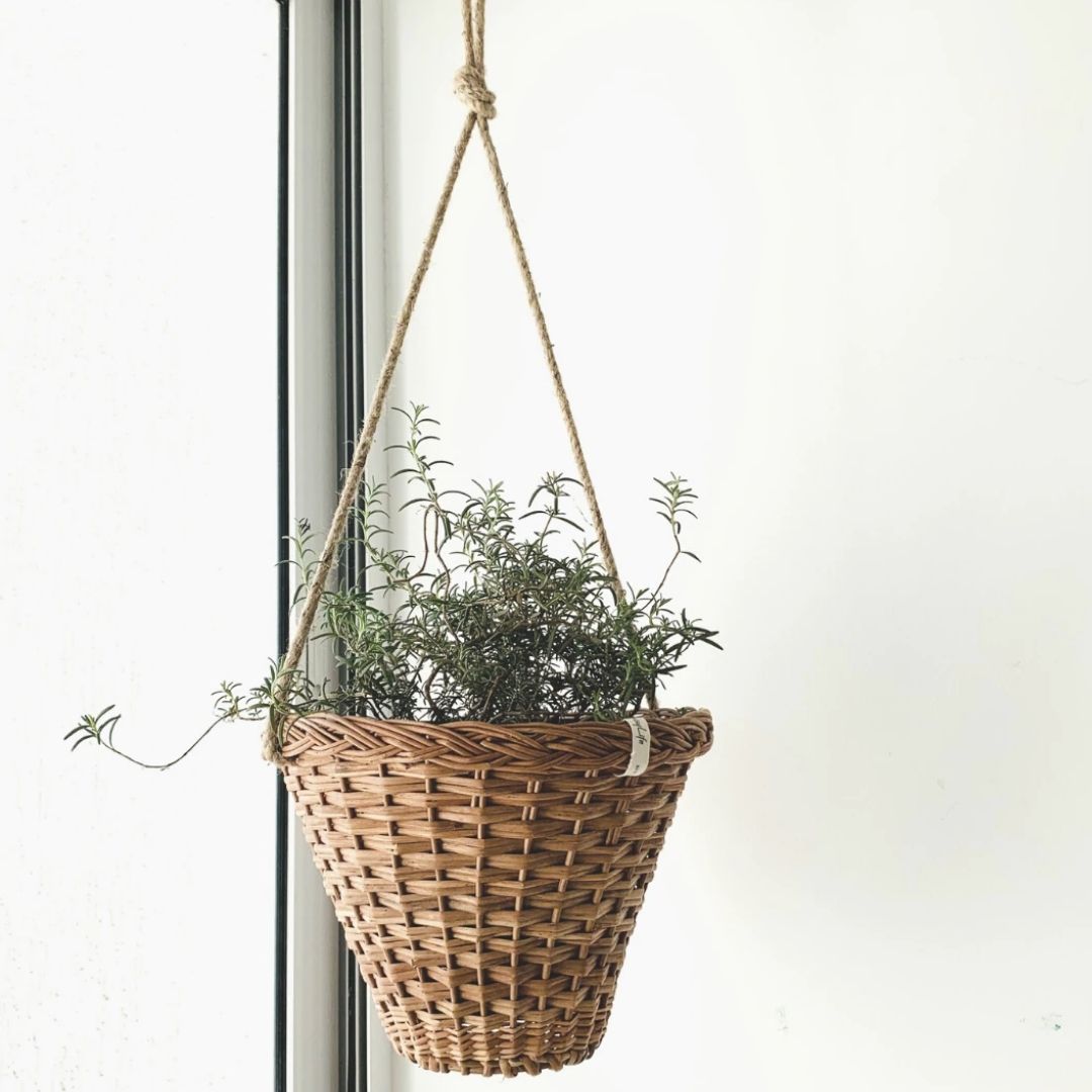 Wicker hanging planter near window.