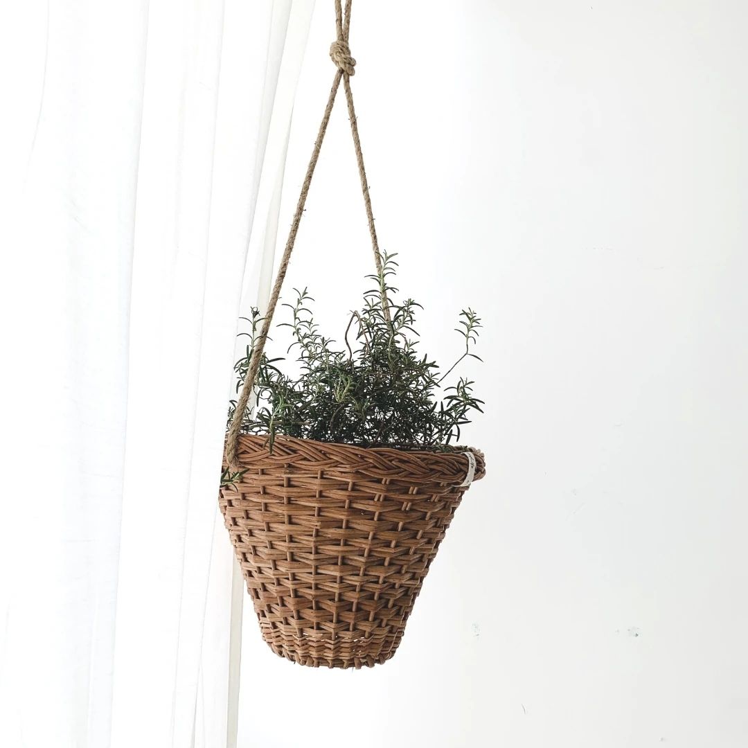 Wicker hanging planter near window.