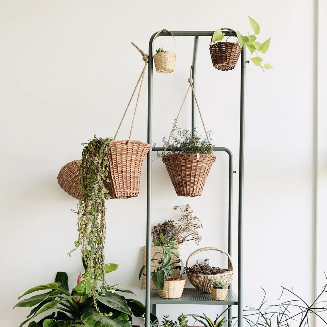 Wicker hanging planter arrangement in living room
