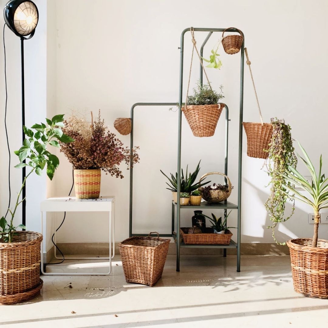 Wicker hanging planter arrangement in living room 