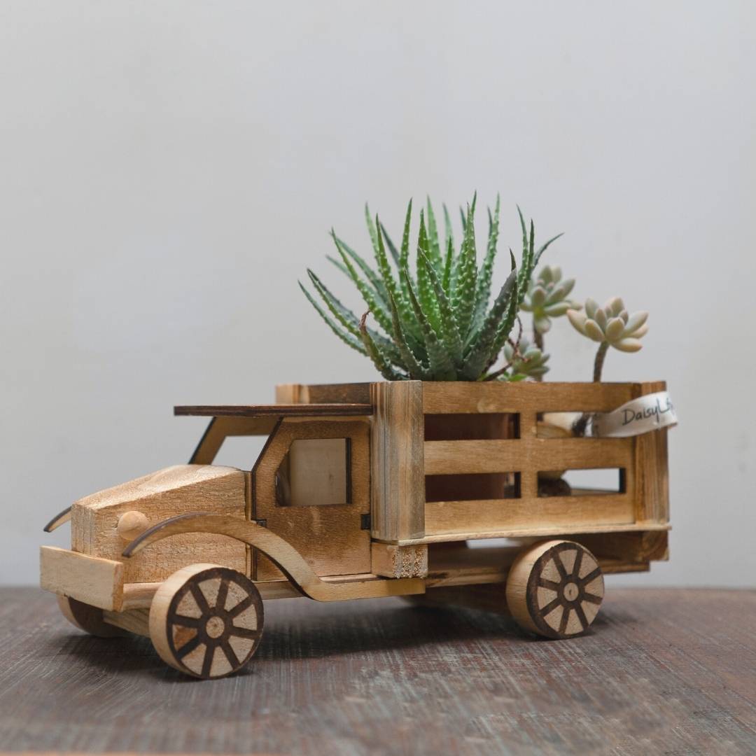Plants inside DaisyLife's natural wooden truck