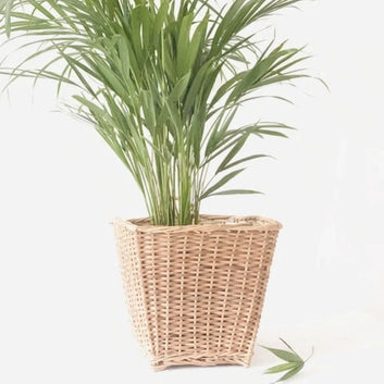 Square Hanging Wicker Planter