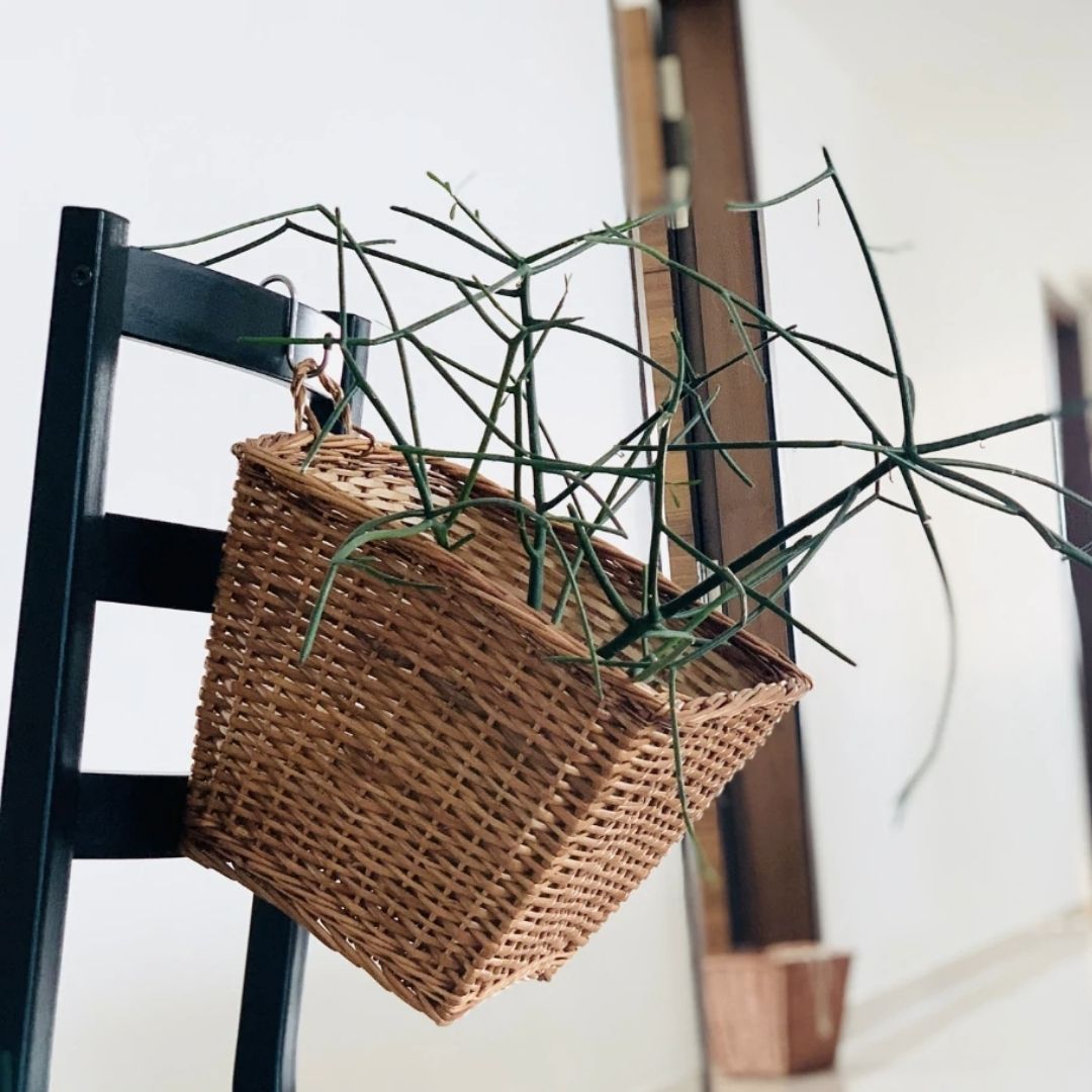 Square Hanging Wicker Planter, hanged on black chair 