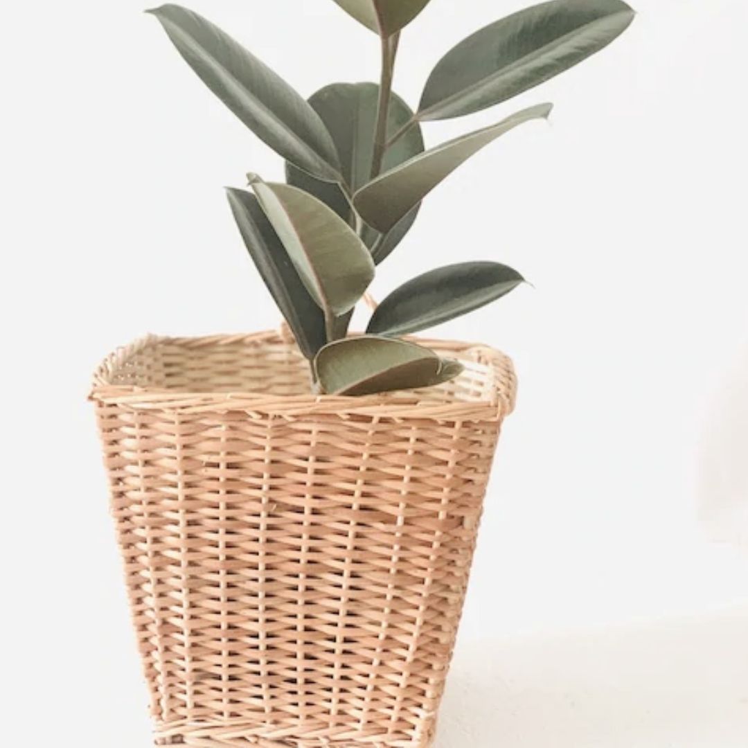 Square Hanging Wicker Planter