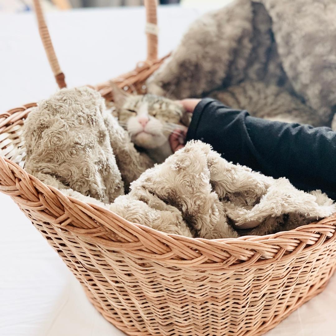 New, big, strong, open Wicker Baby Basket with smooth corner