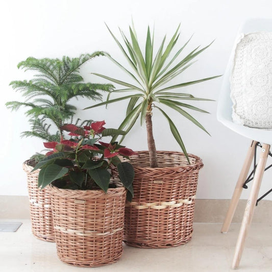 Wicker Planter Set