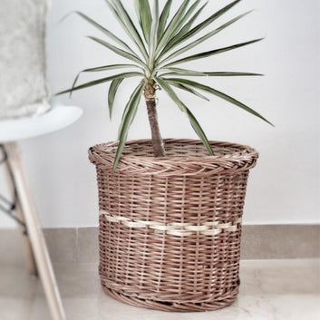 Wicker Planter Set