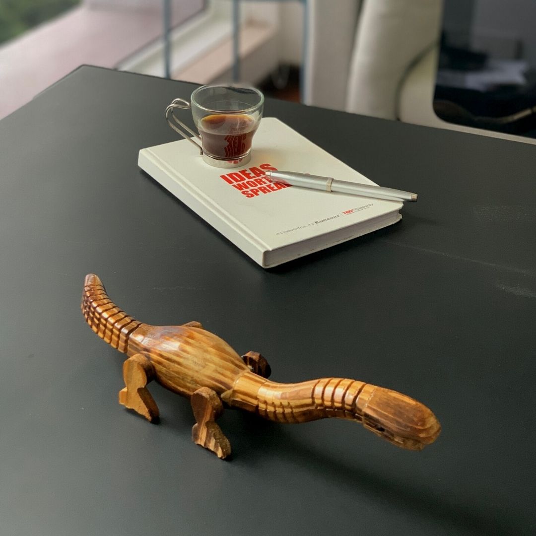 DaisyLife Wooden Long Neck Mamenchisaurus Dinosaur for office décor