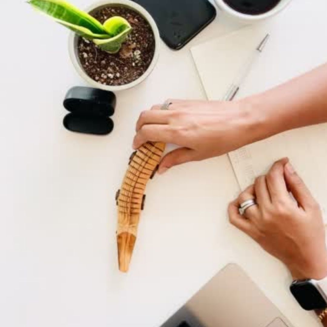 Fidgeting with "Jaws" Wooden Alligator during work helps to low stress