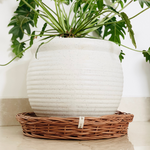 DaisyLife natural wicker Plate Baskets for storage dining table and kitchen