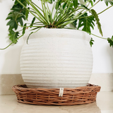 DaisyLife natural wicker Plate Baskets for storage dining table and kitchen