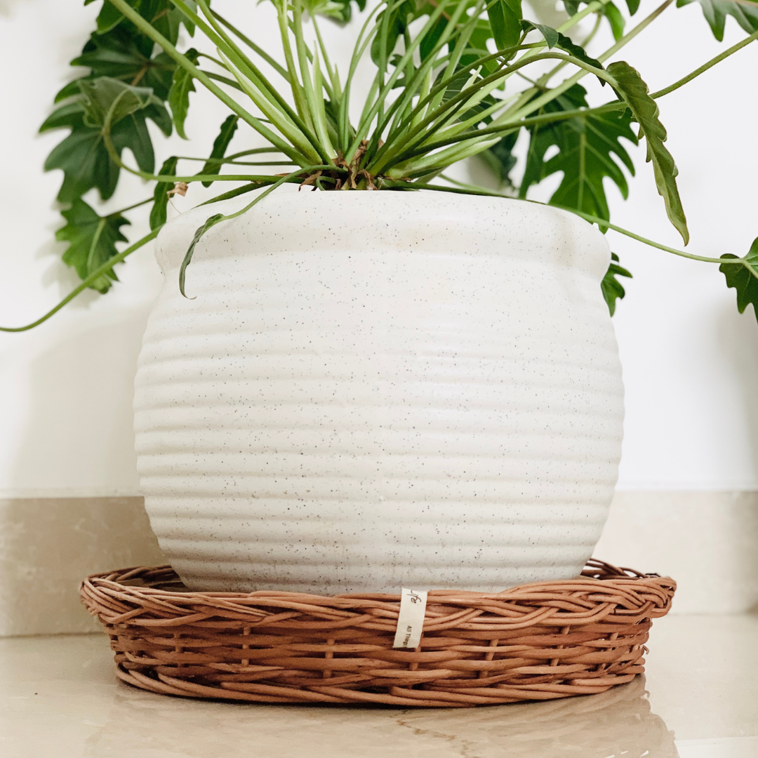 DaisyLife natural wicker Plate Baskets for storage dining table and kitchen